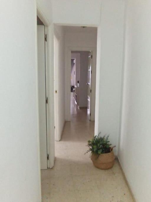 Apartamento Plaza Toros Seville Luaran gambar